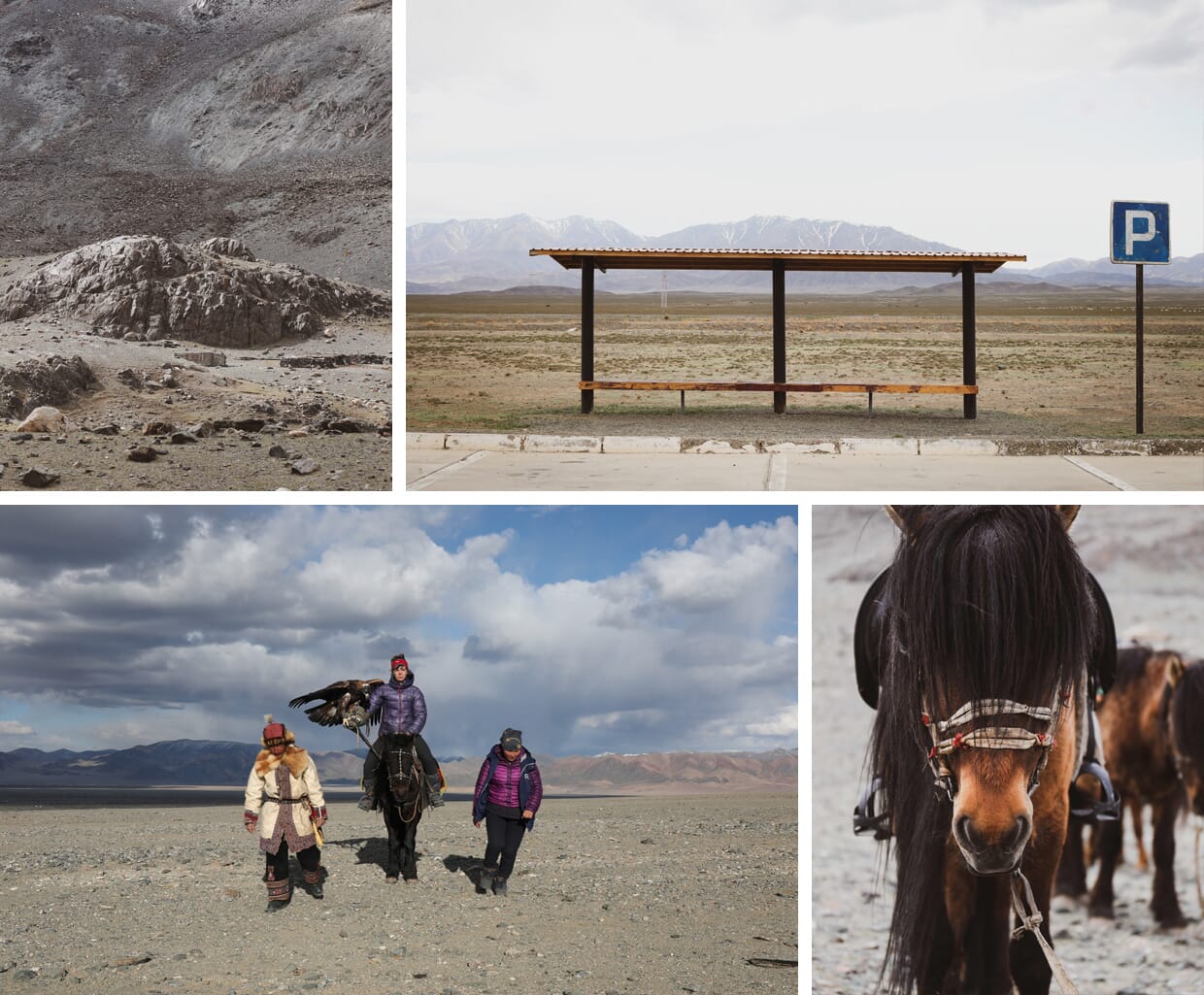 Threads from Mongolia