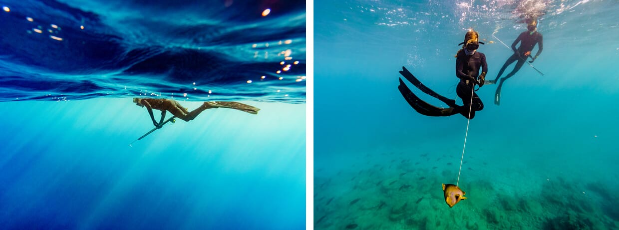 Surviving the Great Depths and Swells of the Pacific