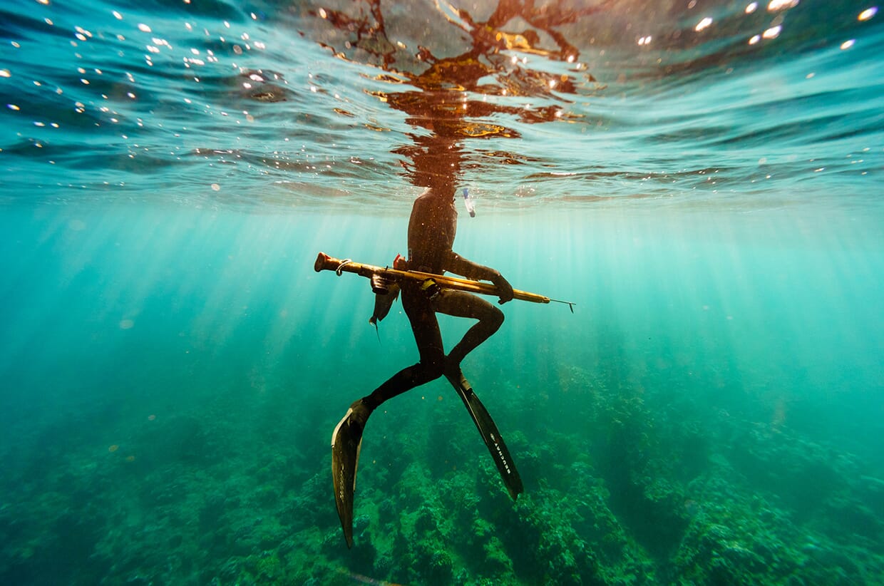Surviving the Great Depths and Swells of the Pacific