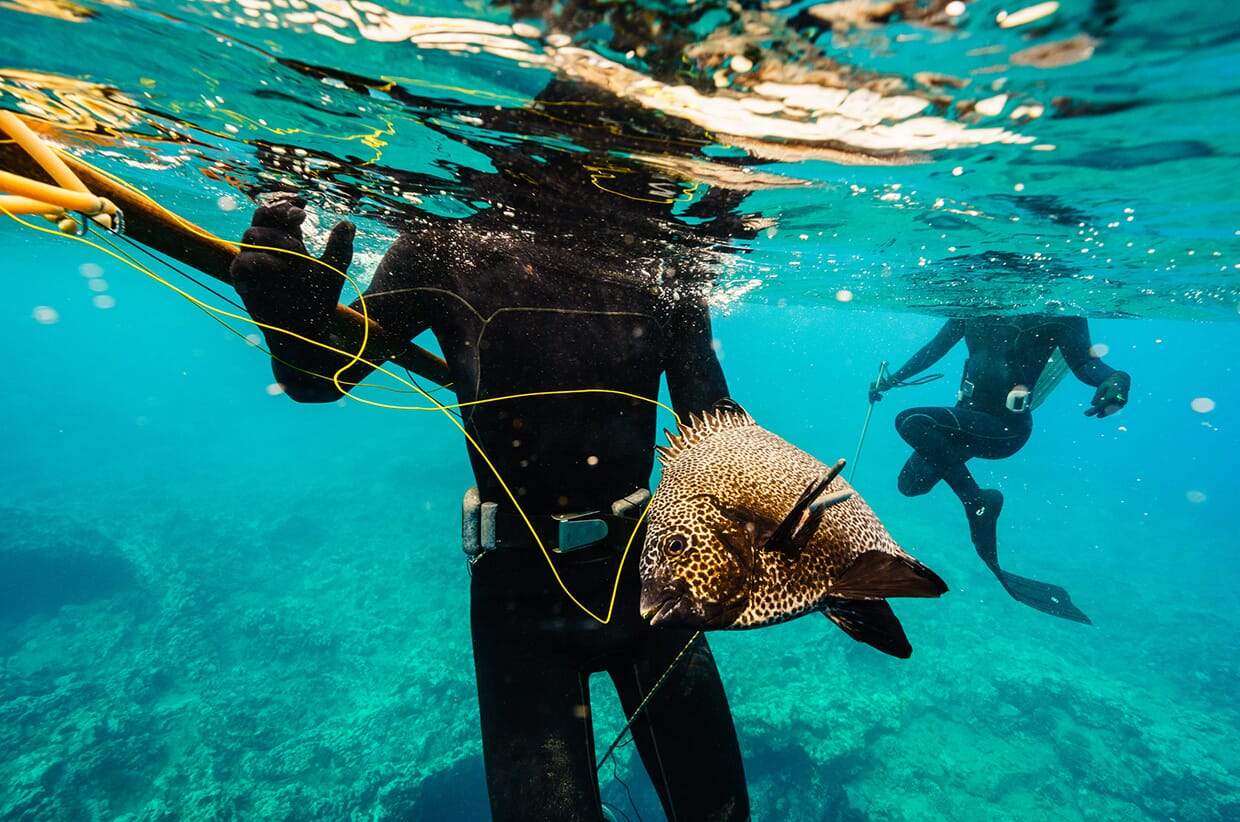 Surviving the Great Depths and Swells of the Pacific